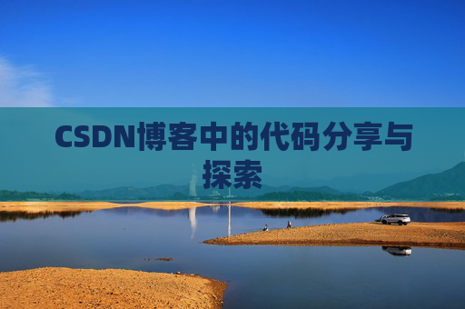 CSDN博客中的代码分享与探索